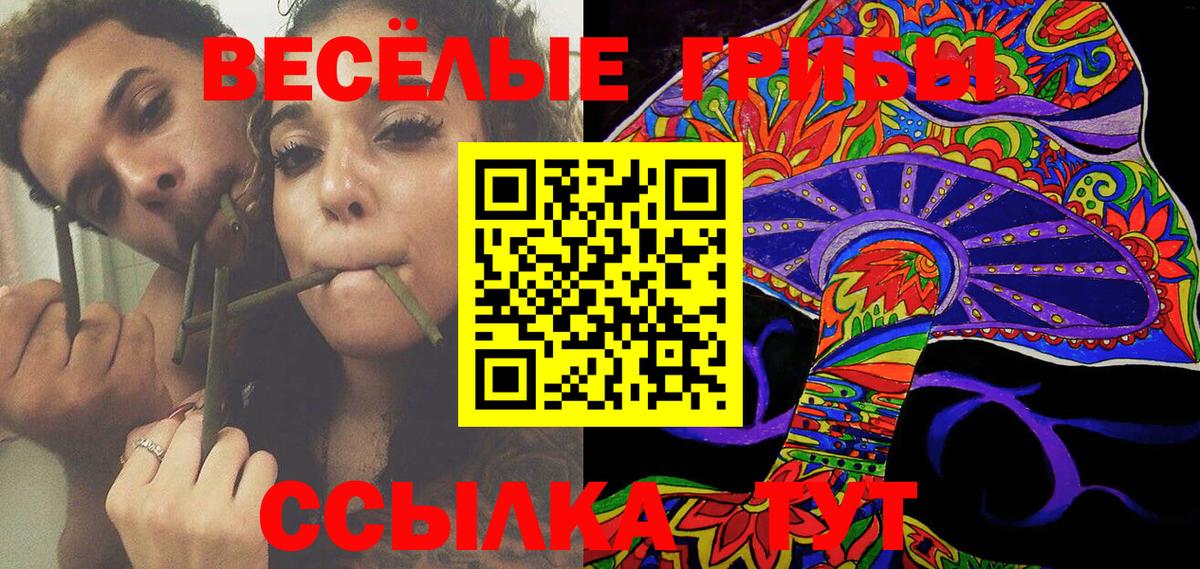 Галлюциногенные грибы Psilocybe  хочу наркоту  Грозный  Псилоцибиновые грибы мухоморы  Вход с VPN 
