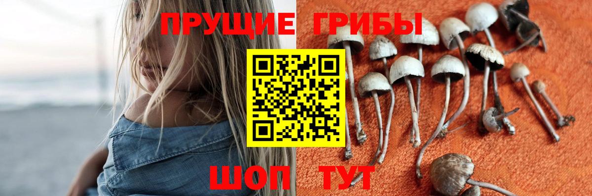 Галлюциногенные грибы мухоморы Грозный